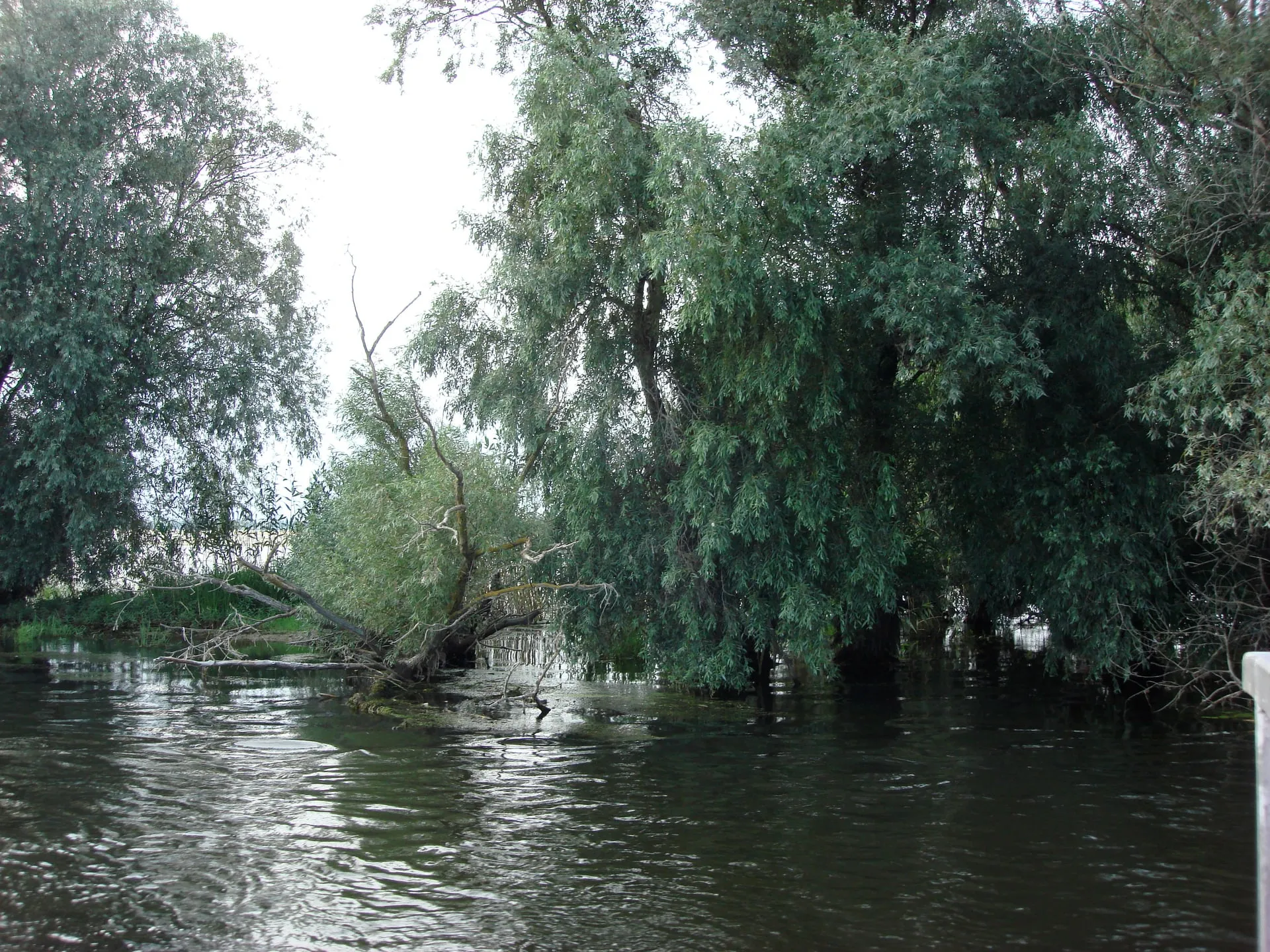 dsc06853