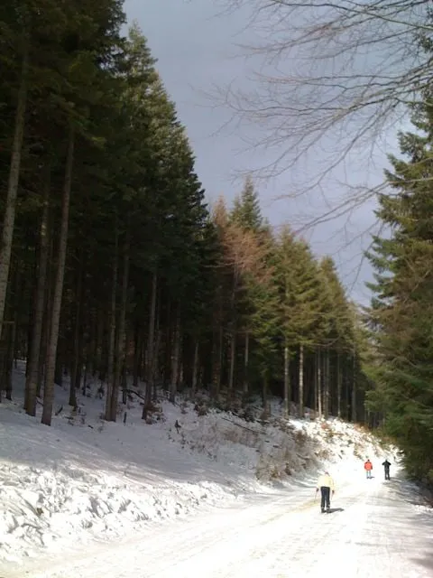 Photo 3 from “La ski, dupa 2 ani”