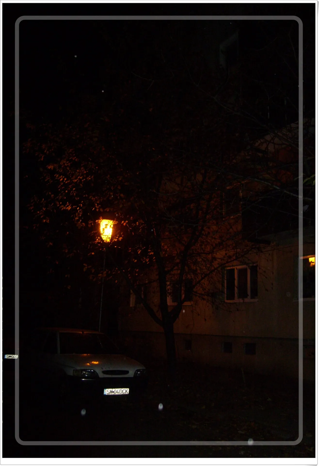 Photo 29 from “Fotografii din concurs”