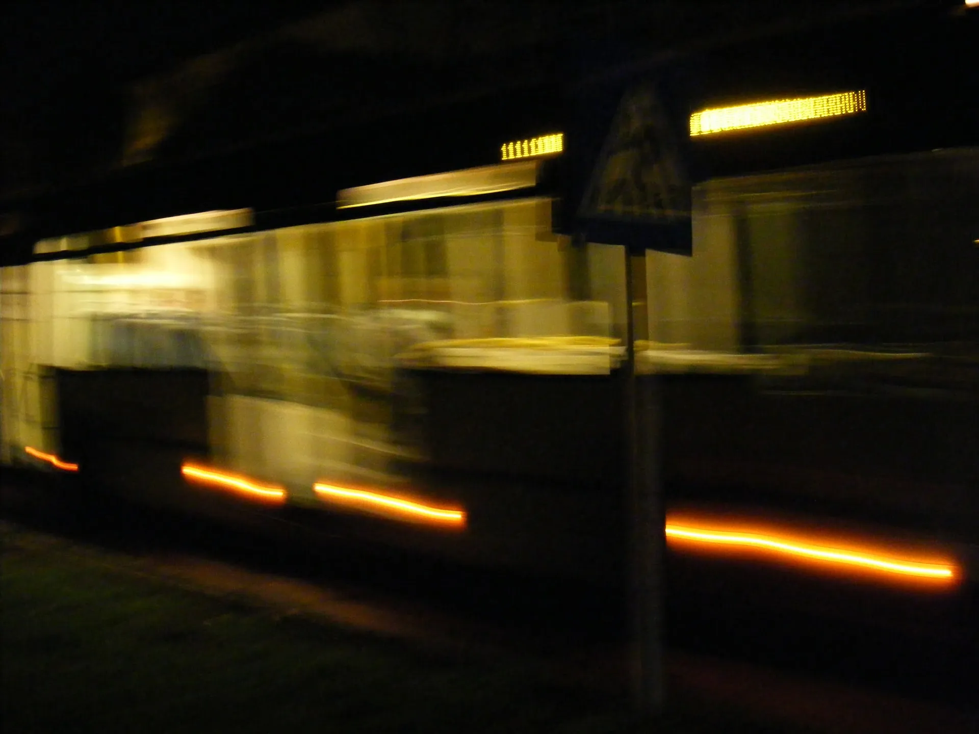 Photo 36 from “Fotografii din concurs”