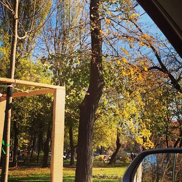 Copaci de toamnă cu frunze galbene și verzi, văzuți pe fereastra mașinii într-un parc însorit
