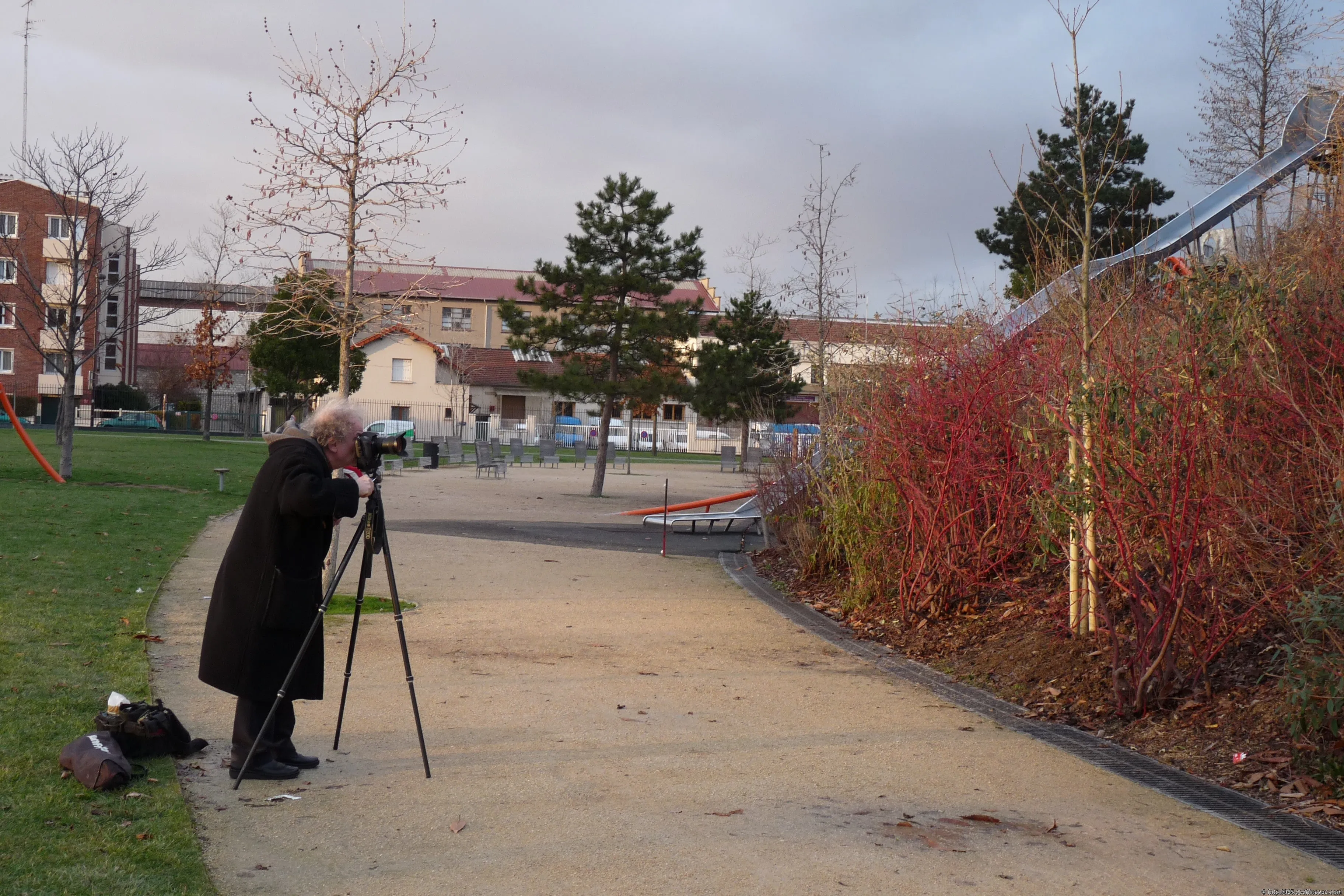 Un fotograf privește prin aparatul montat pe trepied într-un parc.