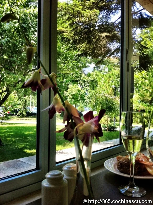 O vaza cu orhidee si un pahar de vin sunt asezate la o fereastra cu vedere spre gradina.