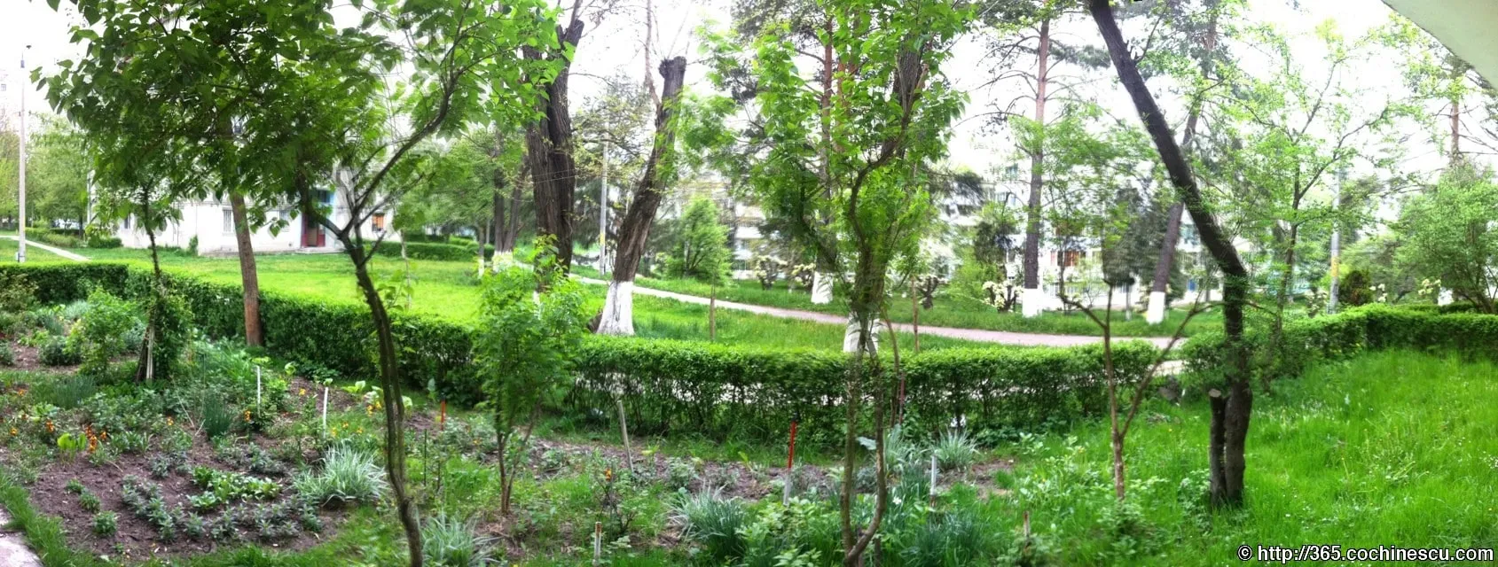 O gradina cu flori, iarba si copaci se intinde printre blocuri.