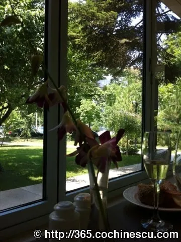 Flori, un pahar de vin si o farfurie se afla langa o fereastra cu vedere spre gradina.