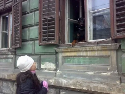 Photo from “Brasov”
