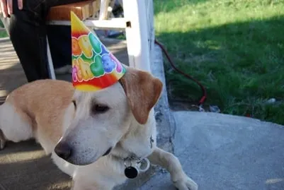 Photo from “Double birthday”
