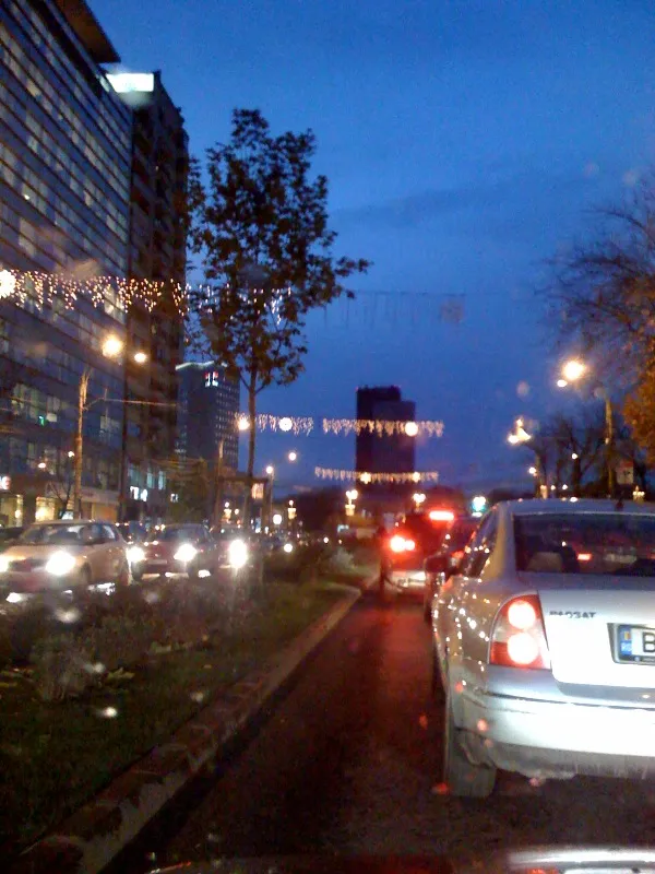 photo-15